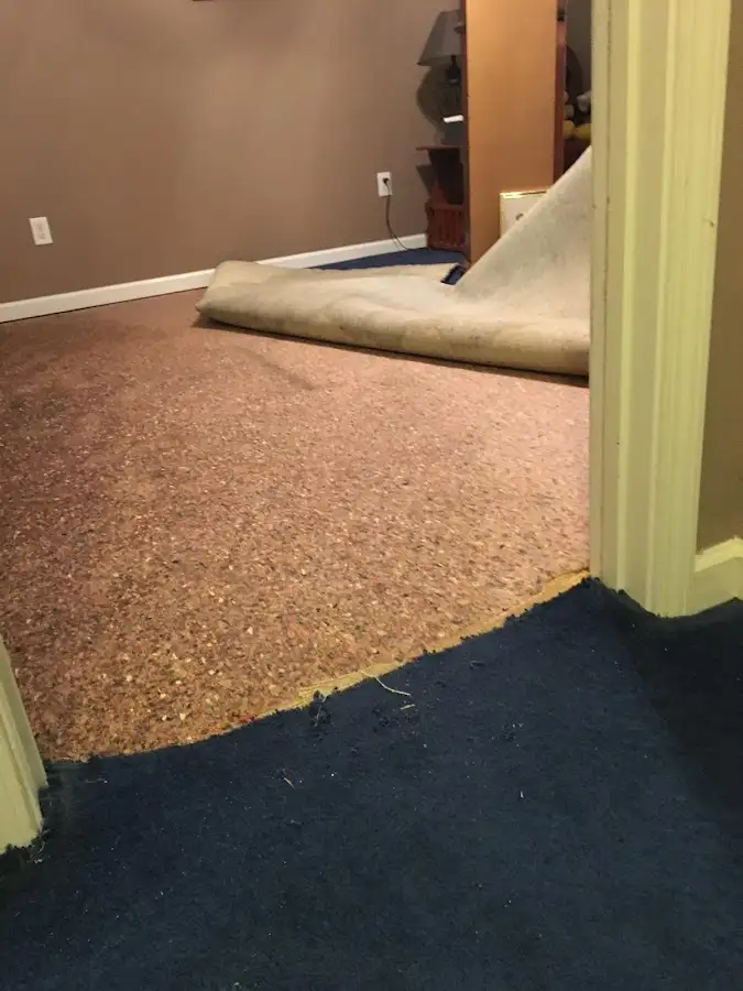 Carpet pad removal revealing water damage during Water Mitigation Services in Champaign