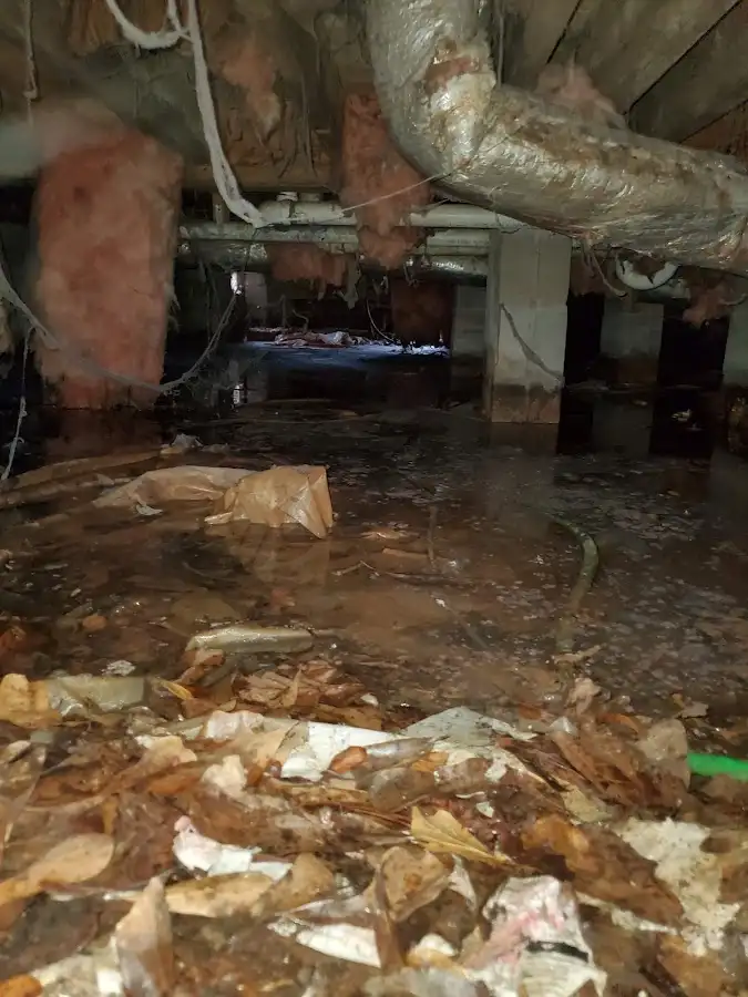 Crawl space flood assessment for Leak Detection & Repair in Champaign