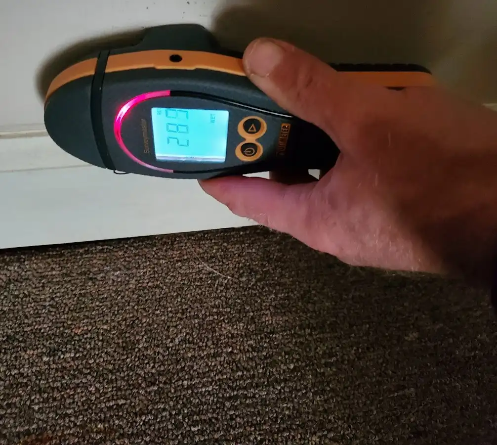 Moisture detection at baseboard during Mold Inspection & Testing in Champaign